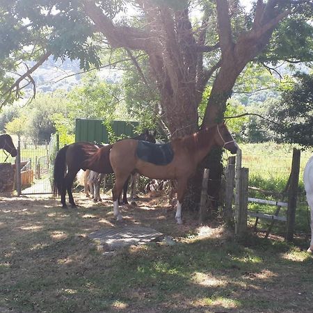 Apartamento Rural Zuri Cotorrio Екстер'єр фото