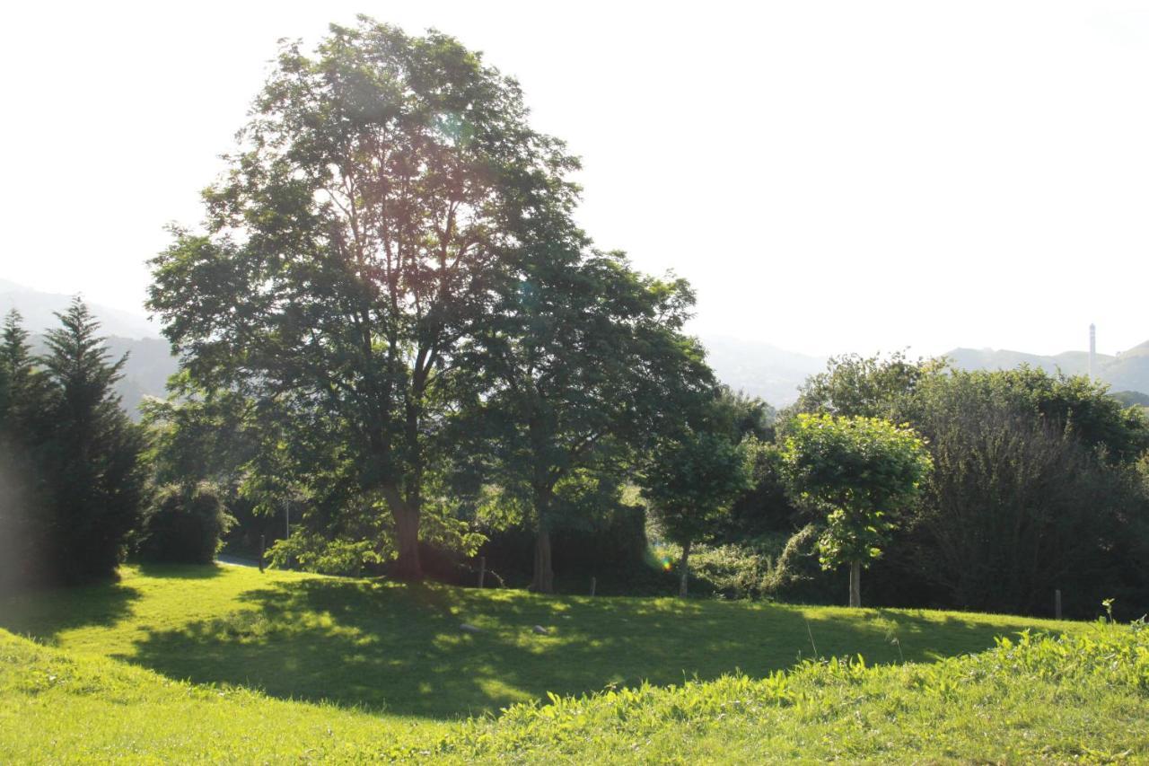 Apartamento Rural Zuri Cotorrio Екстер'єр фото
