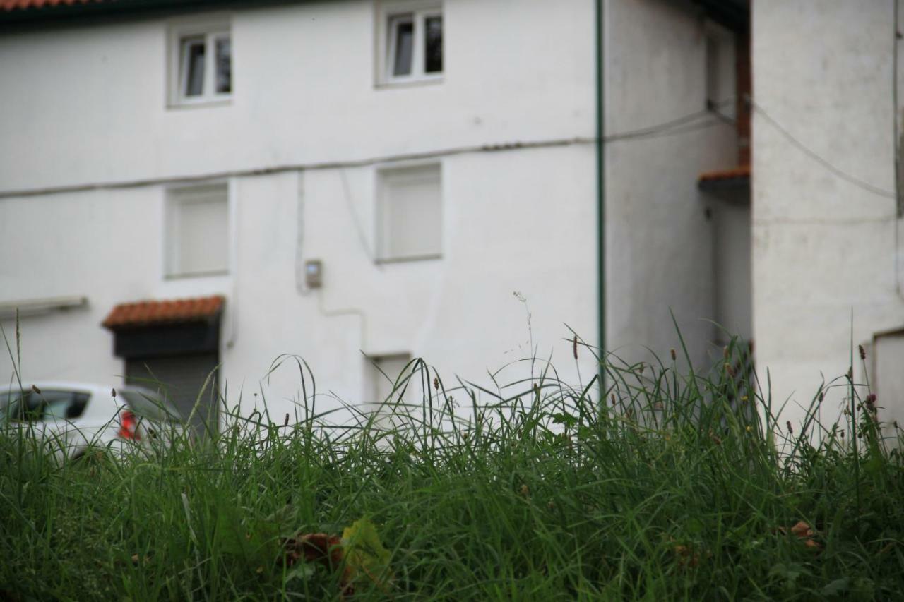 Apartamento Rural Zuri Cotorrio Екстер'єр фото